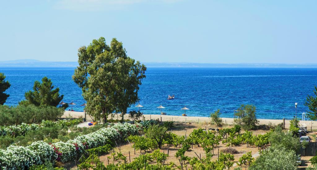 Coral Blue Beach Hotel Gerakini Exterior photo