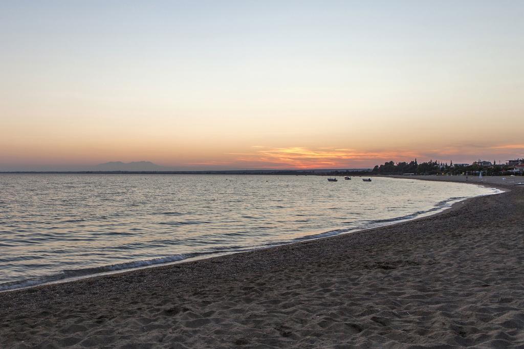 Coral Blue Beach Hotel Gerakini Exterior photo